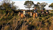Cavalgada no Rio Grande do Sul, pelo Pampa e Fronteira com o Uruguai. Puros cavalos crioulos, com hospedagem em fazendas centenárias