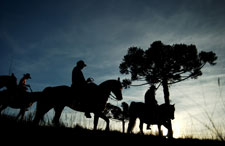 Viagens a cavalo nos Aparados da Serra, Serra Gaúcha, Pampa e Lagoa do Peixe.