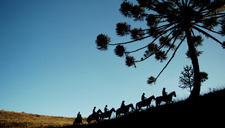 Cavalgadas na Serra Gaúcha, pelos Campos de Cima da Serra, entre Cambará do Sul, Jaquirana, São José dos Ausentes, São Francisco de Paula, Gramado e Canela