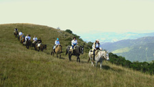 Cavalgadas nos Aparados da Serra, pelos campos e bordas dos canyons, em Cambará do Sul e São José dos Ausentes