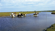 Cavalgadas com observação de pássaros, pela Restinga Litorânea, com o Parque Nacional da Lagoa do Peixe, entre o oceano e o “mar de dentro” – a Lagoa dos Patos. De dois a sete dias, diárias a partir de R$350,00
