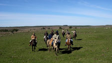 Cavalgadas no Rio Grande do Sul, pelo Pampa e Fronteira com o Uruguai, com hospedagem em fazendas gaúchas centenárias. De dois a sete dias, diárias a partir de R$350,00.
